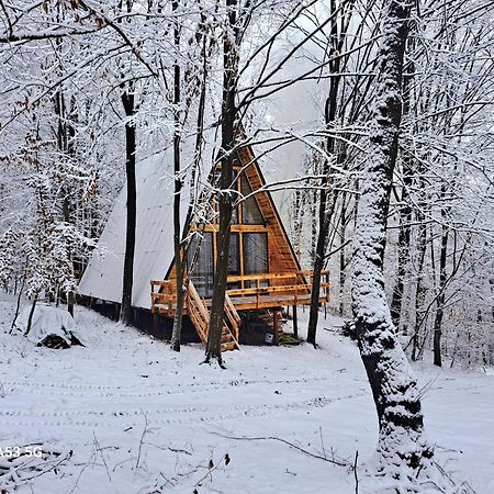 Cabanaaframe Куртя-де-Арджеш Екстер'єр фото