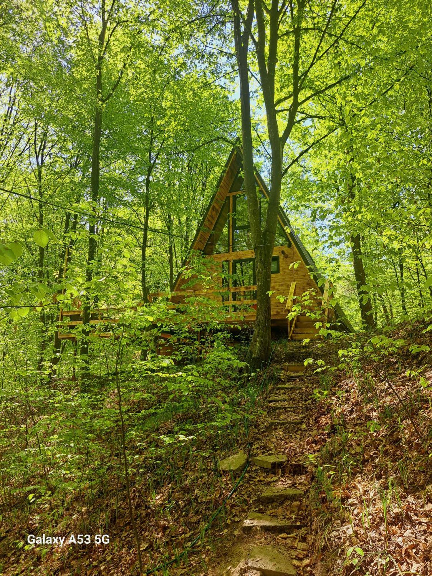 Cabanaaframe Куртя-де-Арджеш Екстер'єр фото